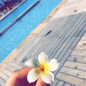 Meet your Posher, Becca